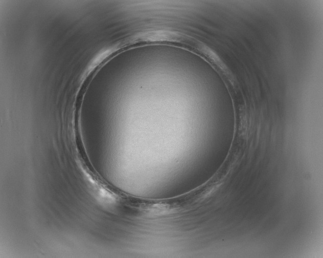 X0000079280986200611251617