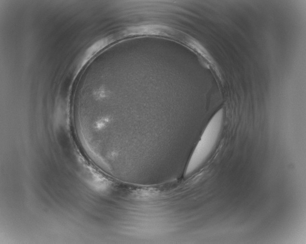 X0000079280994200611251617