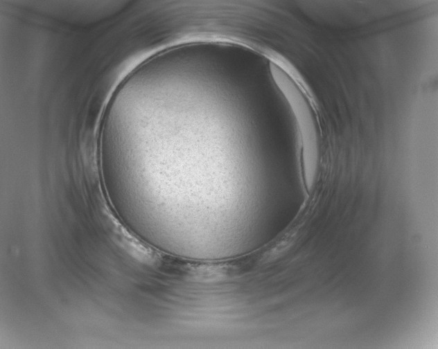 X0000079281004200611251616