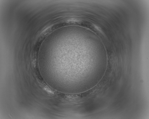 X0000079281015200611251616