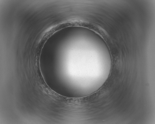 X0000079281016200611251616