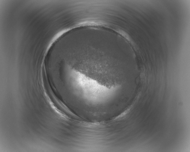 X0000079281030200611251616