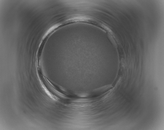 X0000079281034200611251616