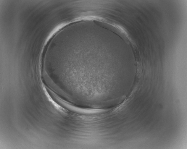 X0000079281046200611251616