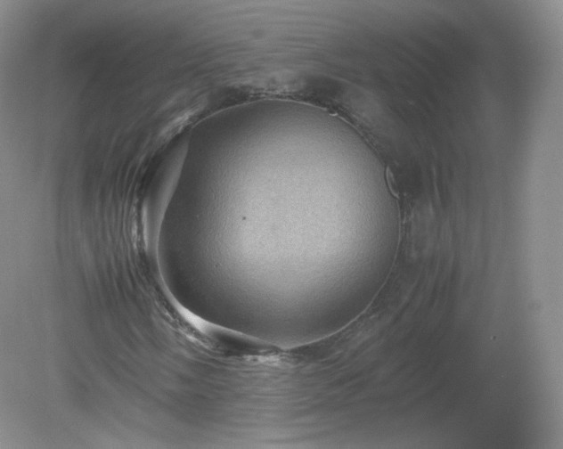 X0000079281058200611251616
