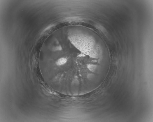 X0000079281063200611251615