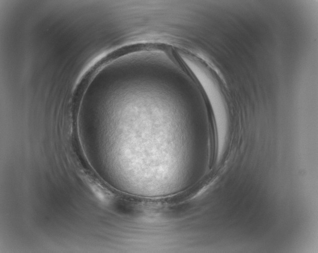 X0000079281069200611251615