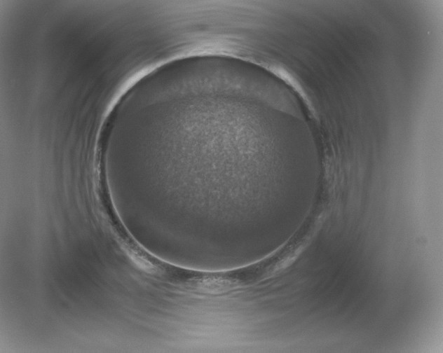 X0000079281077200611251615