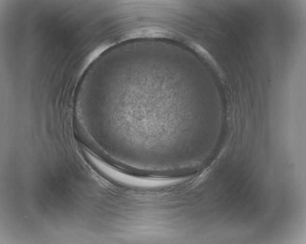 X0000079281081200611251615