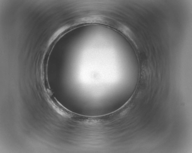 X0000079281082200611251615