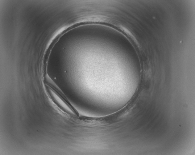 X0000079281085200611251615