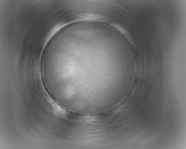 X0000079281086200611251615