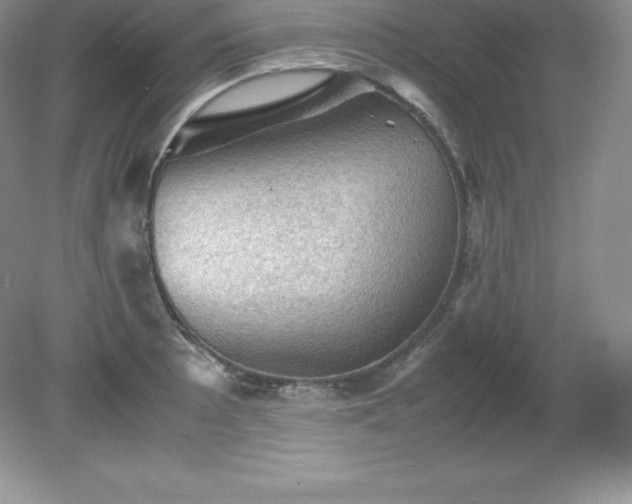 X0000079281089200611251615