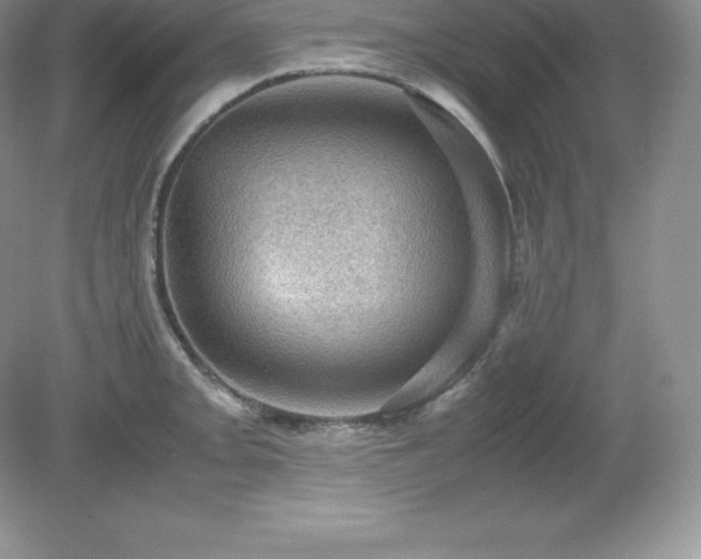 X0000079281093200611251615