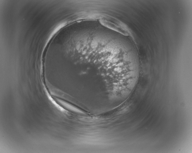 X0000079281095200611251615