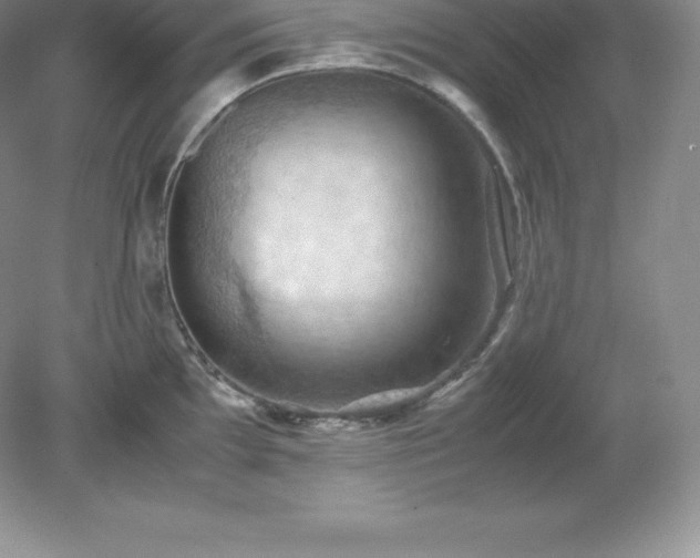 X0000079281097200611251615