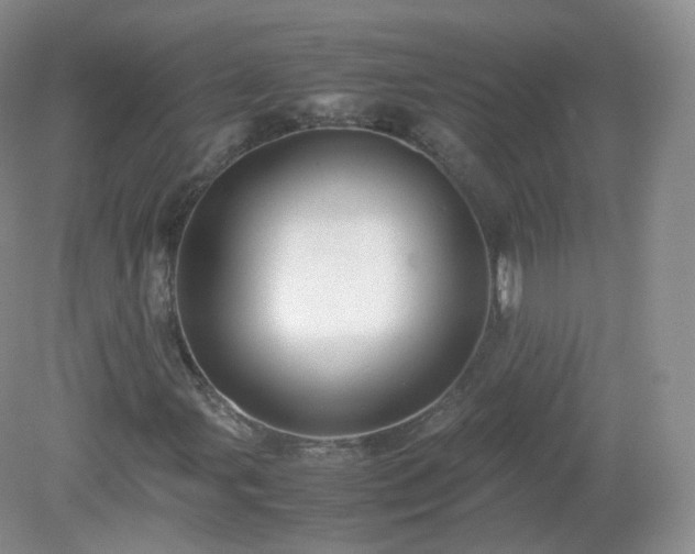 X0000079281107200611251614