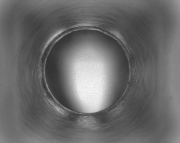 X0000079281119200611251614