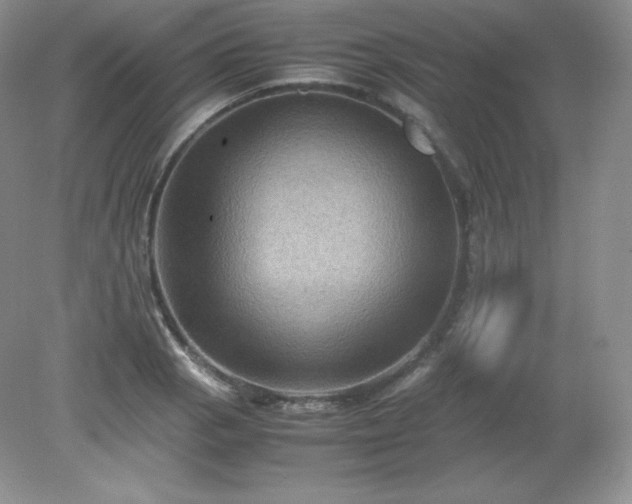 X0000079281129200611251614