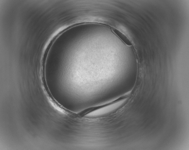 X0000079281136200611251615