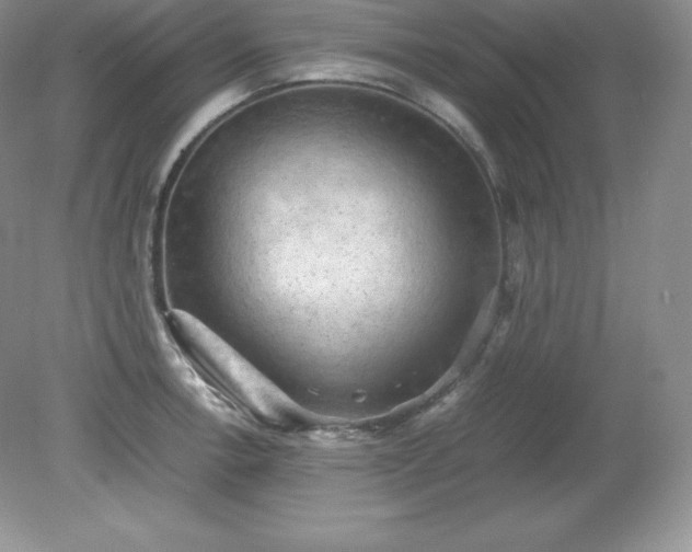 X0000079281138200611251615