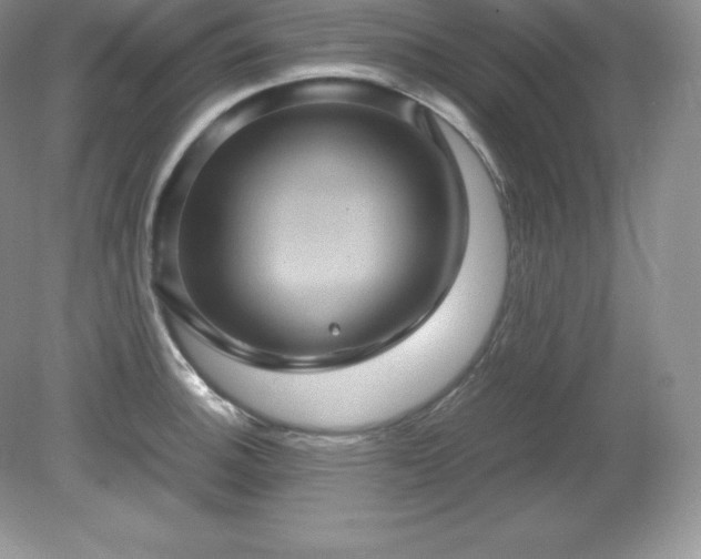X0000079281140200611251615