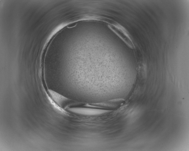 X0000079281143200611251615