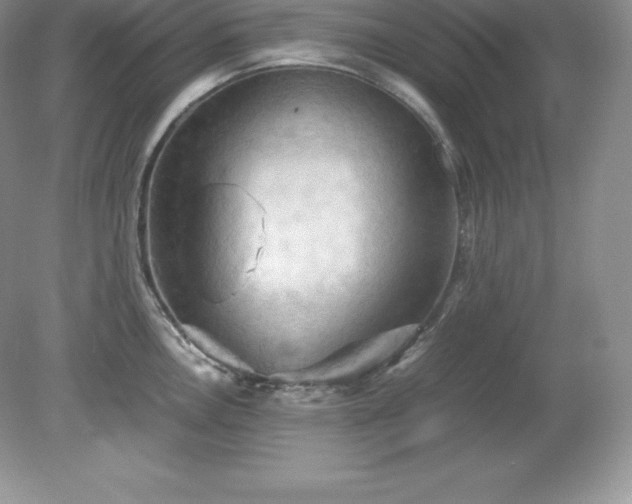 X0000079281146200611251615