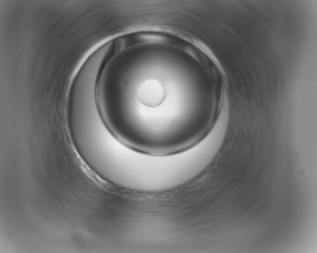 X0000079281148200611251615