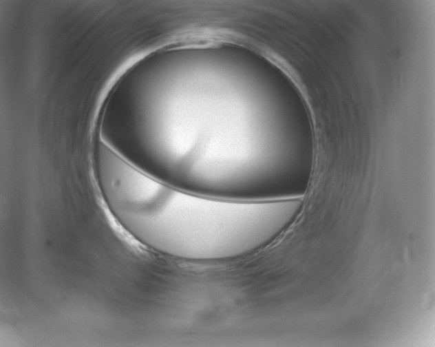 X0000079281152200611251615
