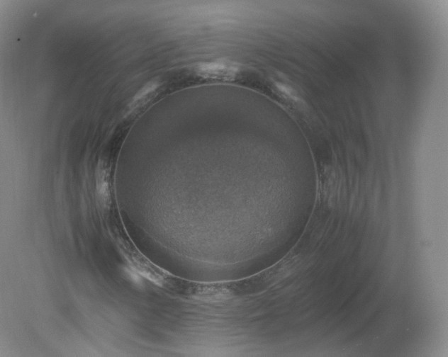X0000079281154200611251614