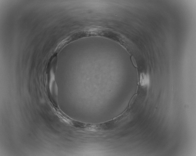 X0000079281155200611251614