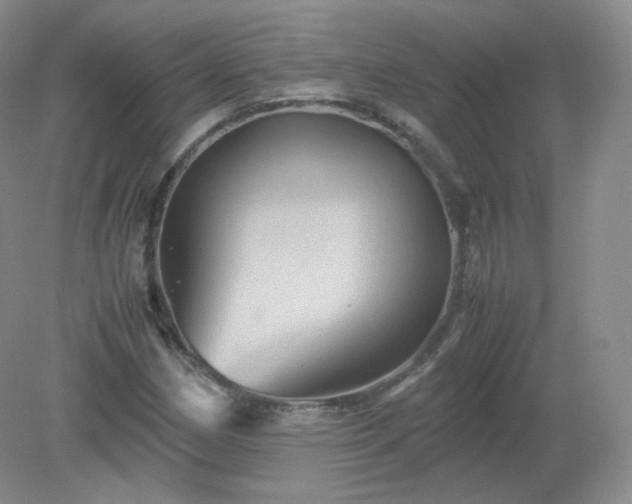 X0000079281162200611251614