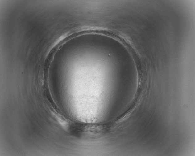 X0000079281165200611251614