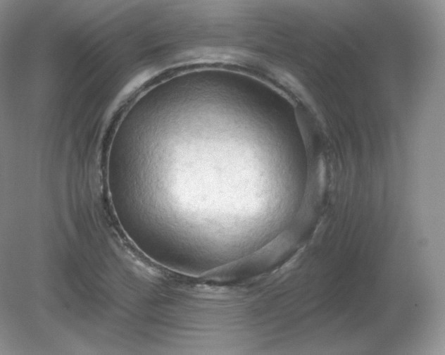 X0000079281172200611251614
