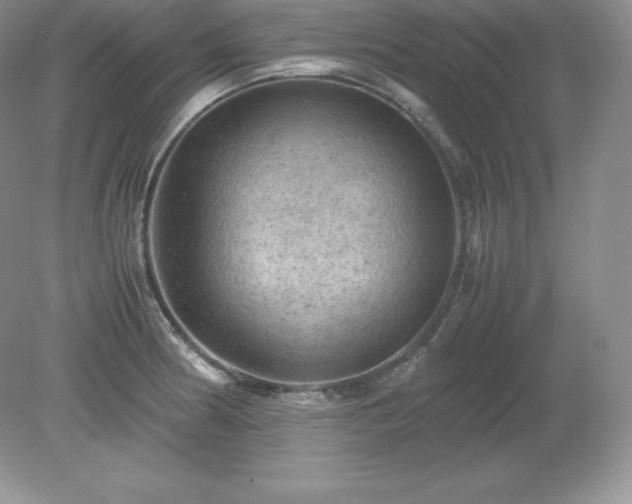 X0000079281186200611251613