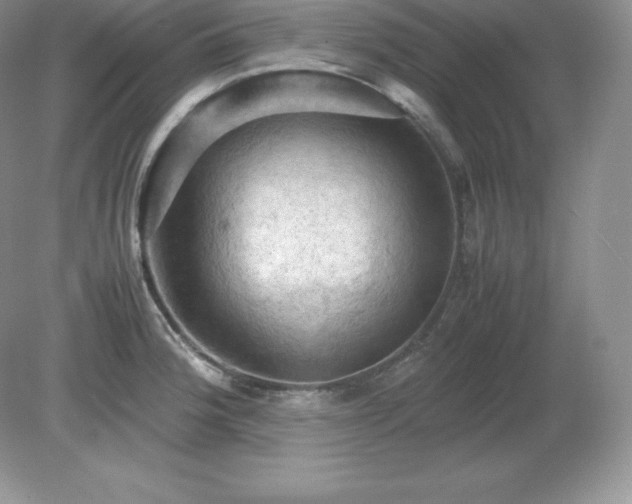 X0000079281188200611251613