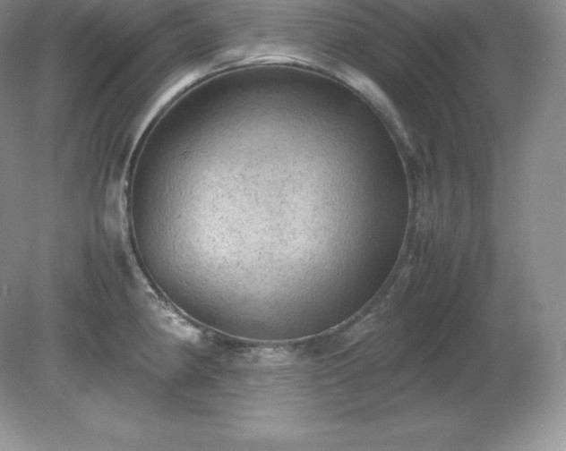 X0000079281190200611251613