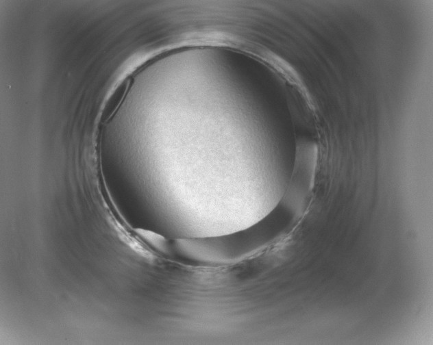 X0000079281192200611251613