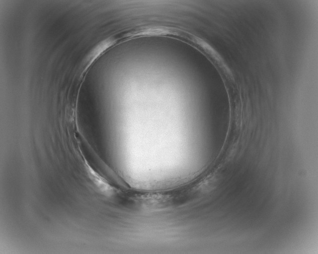 X0000079281193200611251613
