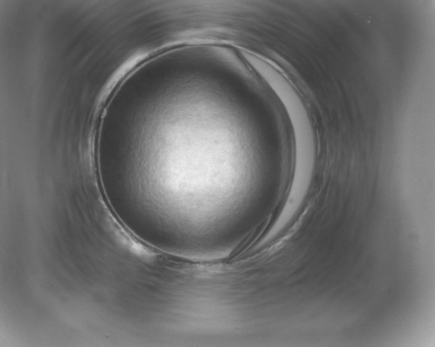 X0000079281196200611251613