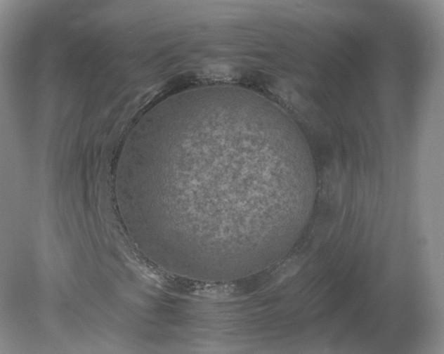 X0000079281201200611251612