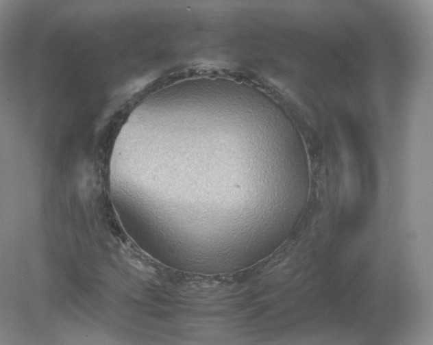 X0000079281207200611251612