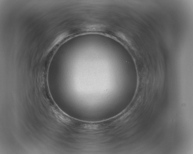 X0000079281211200611251613
