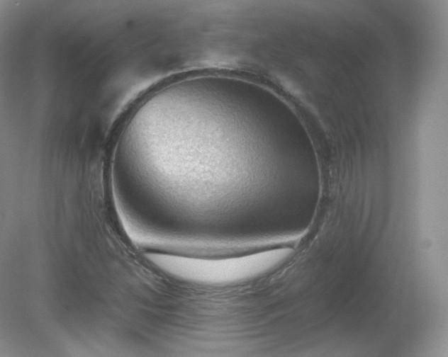 X0000079281214200611251613