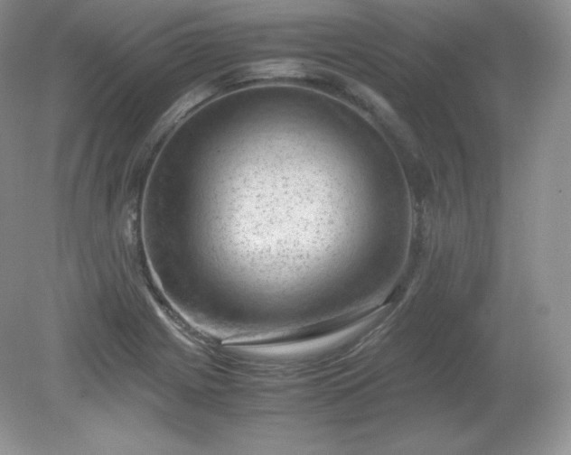 X0000079281225200611251613