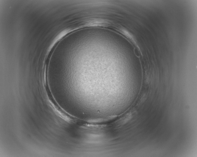 X0000079281227200611251613