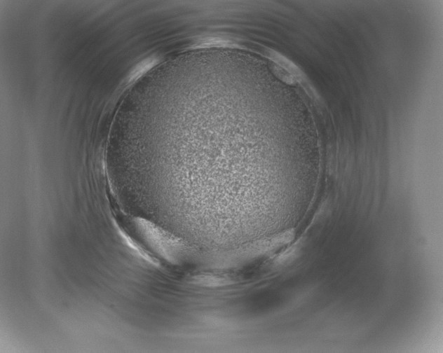 X0000079281241200611251613