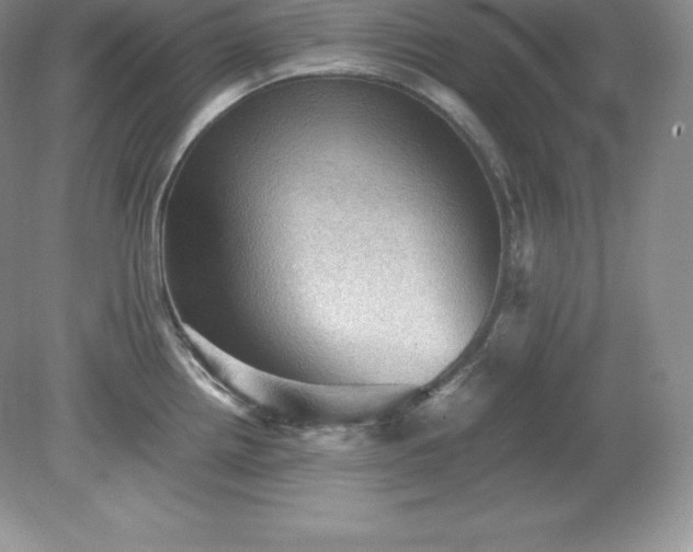 X0000079281242200611251613