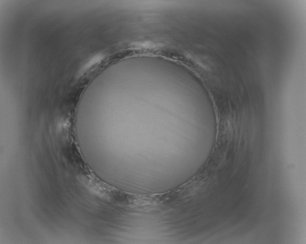 X0000079281254200611251612
